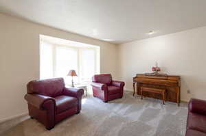 Sitting room with carpet and baseboards