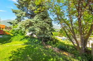 View of grassy yard featuring a mountain view