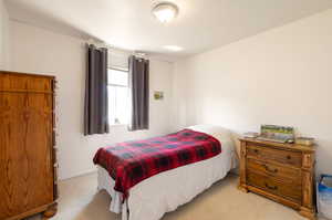 Bedroom with light carpet