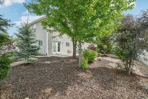 View of back yard with a patio