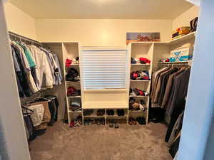 Walk in closet featuring carpet floors