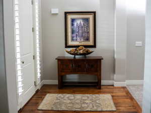 Entryway with baseboards and wood finished floors