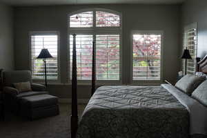 Primary Bedroom with carpet flooring