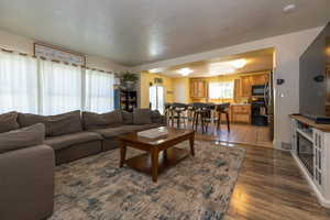 Living room featuring wood finished floors