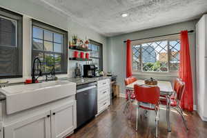 Kitchen with dishwasher, a sink, plenty of natural light, a textured ceiling, and dark wood-style floors