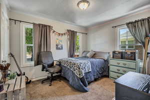 Bedroom with carpet flooring, multiple windows, crown molding, and baseboards