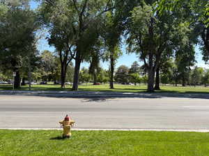 View of Liberty Park from the front porch