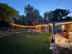 Backyard with lights in the evening