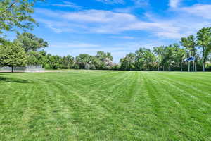 Adjacent park (NOT INCLUDED IN PROPERTY)