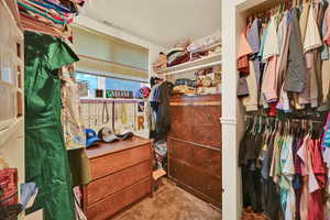 Walk in closet with carpet and window
