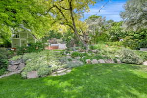 View of green lawn
