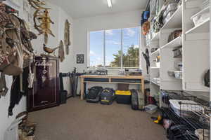 Home office with carpet floors