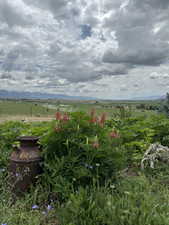View of yard with a view of rural / pastoral area