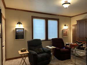 Living area featuring light carpet, crown molding, baseboards, and a textured ceiling