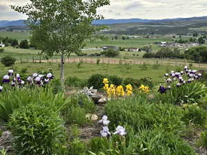View of yard featuring a mountain view and a view of rural / pastoral area