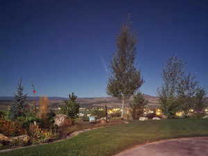 View of green lawn