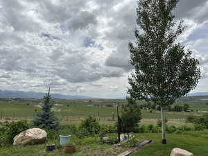 View of yard with a view of rural / pastoral area