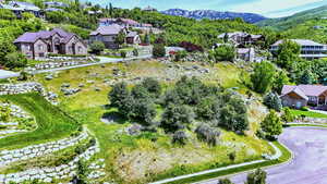 Aerial view of residential area with a mountainous background