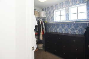 Walk in closet with carpet floors