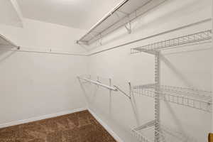 Walk in closet with carpet flooring