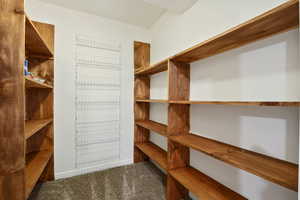 Spacious closet featuring carpet