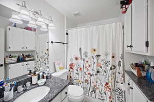 Bathroom with vanity, toilet, and a shower with curtain