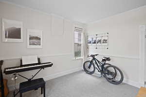 Misc room featuring crown molding, carpet, and baseboards