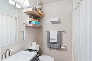 Full bathroom with toilet, curtained shower, and vanity