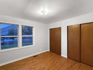 Unfurnished bedroom with multiple closets, light wood finished floors, baseboards, and a mountain view