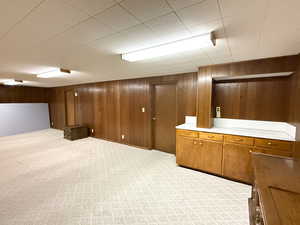 Finished below grade area with wooden walls and light colored carpet
