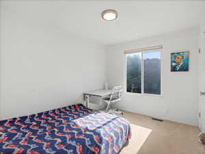 Bedroom with carpet floors