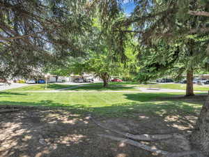 View of green lawn