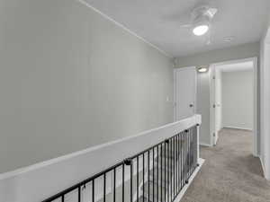 Hallway featuring carpet floors and baseboards