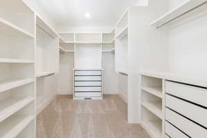 Spacious closet featuring carpet floors