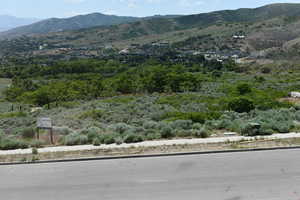 View of the poppy field from Bedroom 2