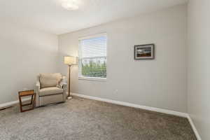 Living area with carpet flooring and a textured ceiling