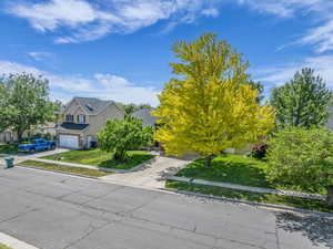 Photo 42 of 1163 N 2025 W