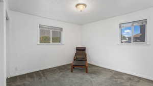 Downstairs primary bedroom featuring natural light, carpet and baseboards