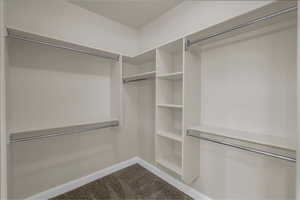 Walk in closet with carpet flooring
