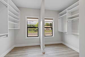 Primary bedroom walk-in closet featuring LVP flooring, designer roller shades, and natural light