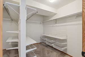 Walk in closet with carpet flooring