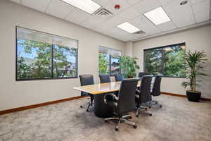 Carpeted home office featuring baseboards and a drop ceiling