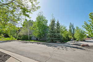 View of asphalt street with curbs and sidewalks