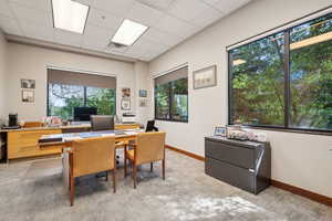 Office space featuring light colored carpet, a drop ceiling, and baseboards