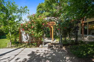 View of patio