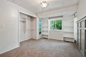 Unfurnished bedroom with carpet floors, baseboards, and a closet
