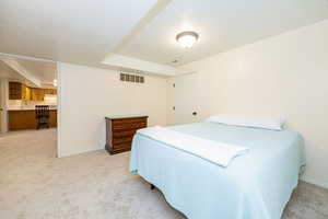 Bedroom / Bonus Room