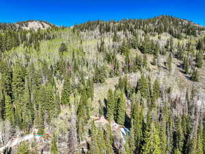 View of mountain backdrop featuring a forest