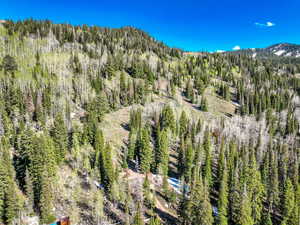 Mountain view featuring a forest