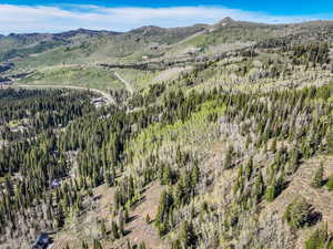 View of mountain background with a forest